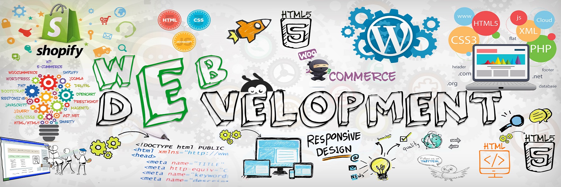 Custom Web Development Services