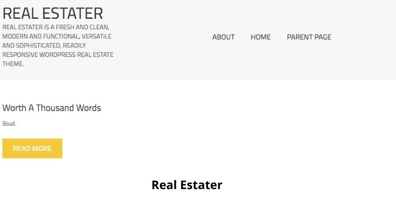 Real Estater