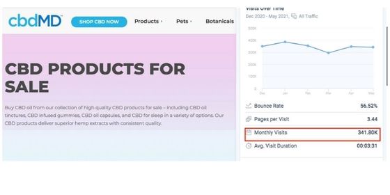 Why Are We Focusing Content Creation?