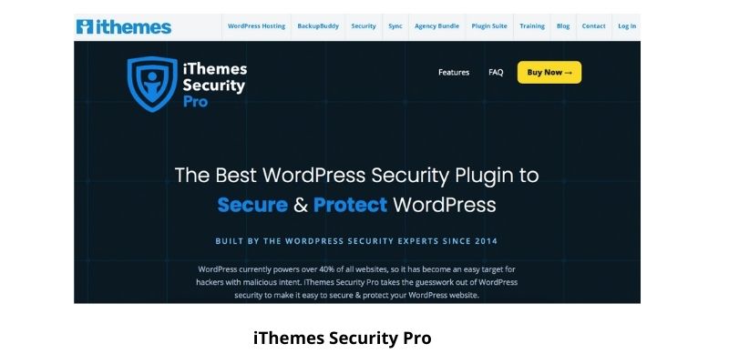 iThemes Security Pro